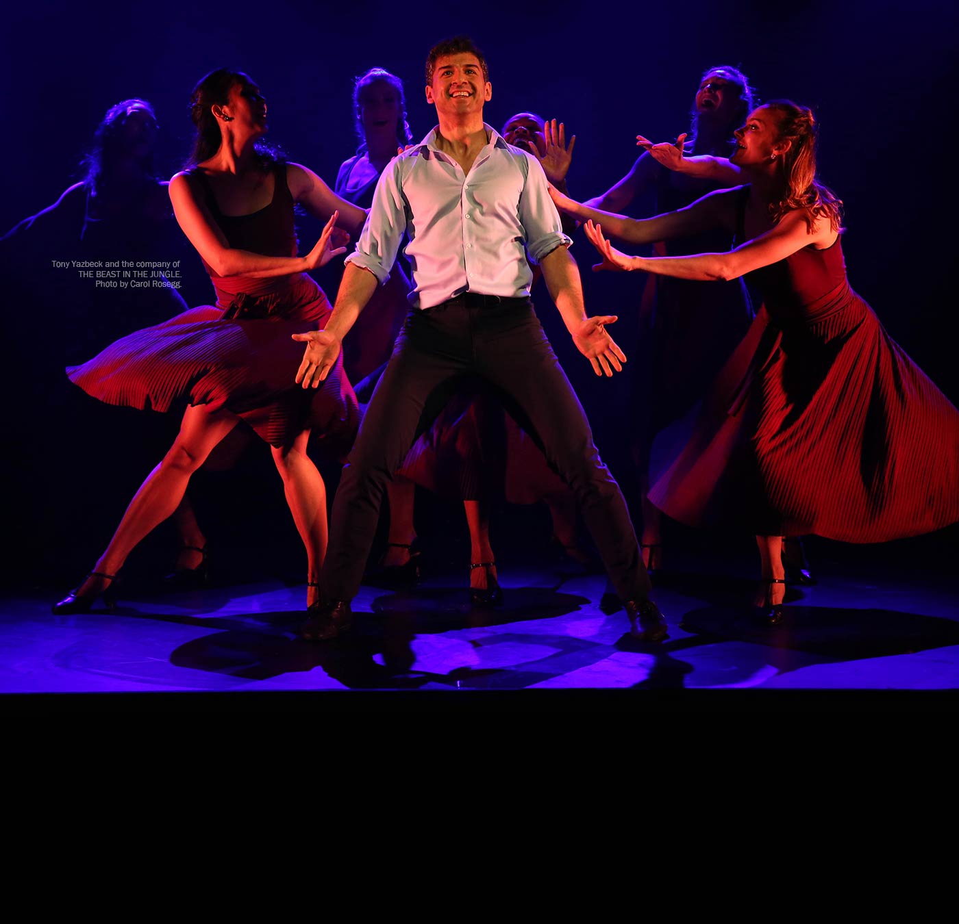The Beast In The Jungle Vineyard Theatre